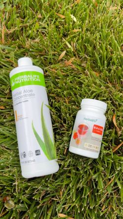 Aloe o te de jamaica con pitalla