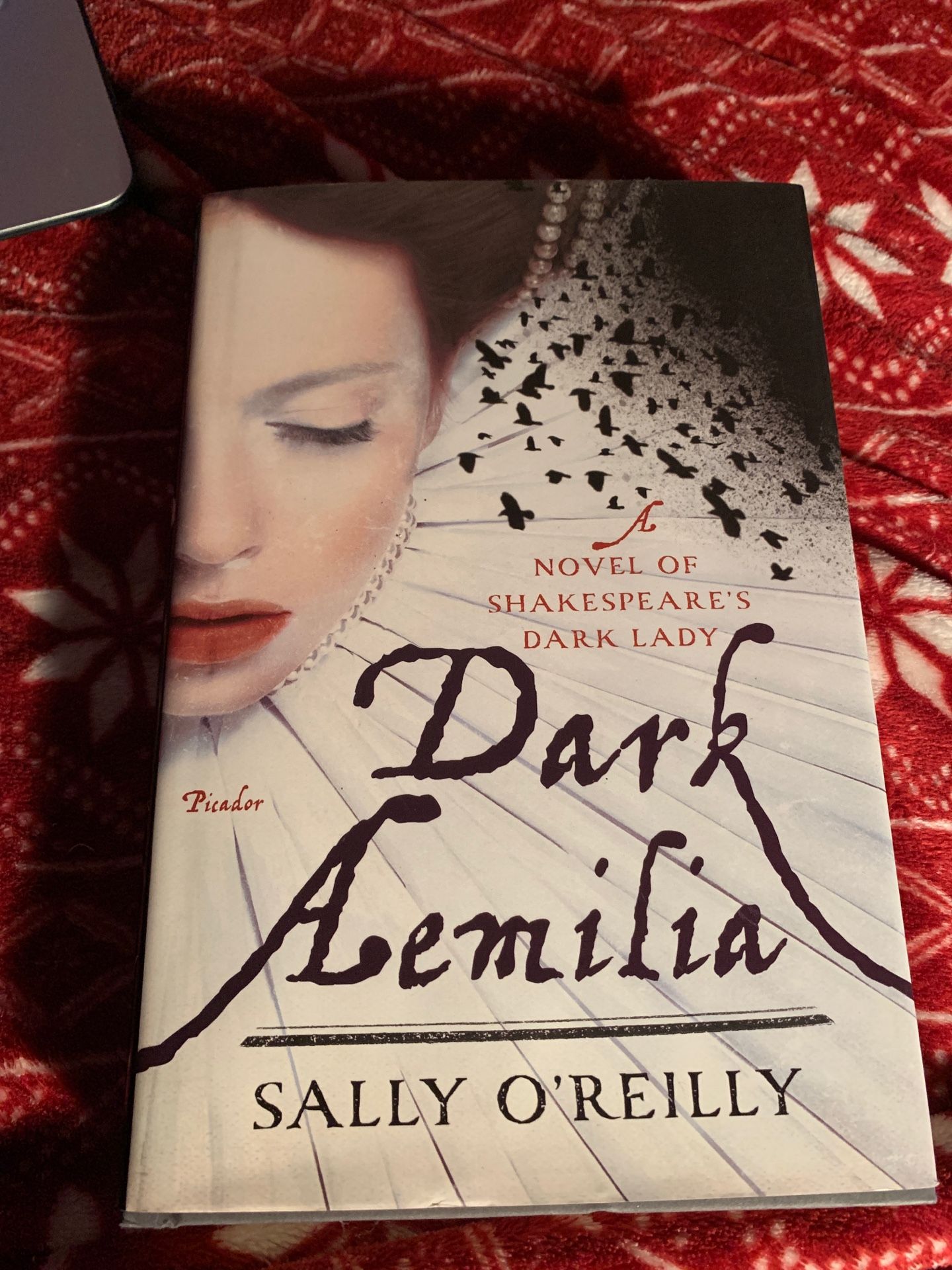 Dark Aemilia Book