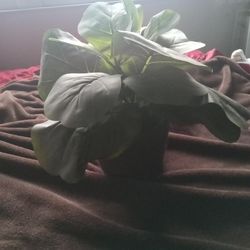 Artificial Green Plant