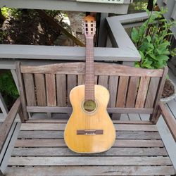 Vintage Esteller Aquatic Guitar 
