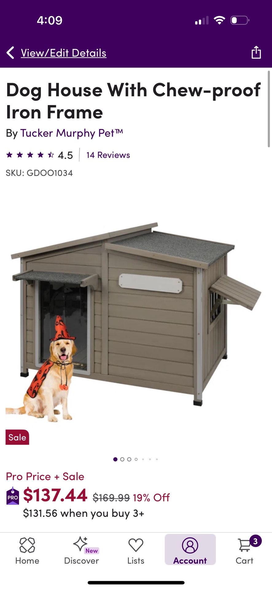 Dog House