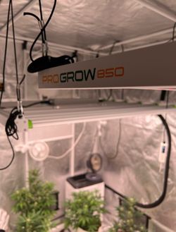 Grow Light Science Led Progrow 850’s