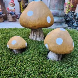 Mushrooms For Sale 