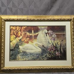 Framed Print, Swans On A Lake