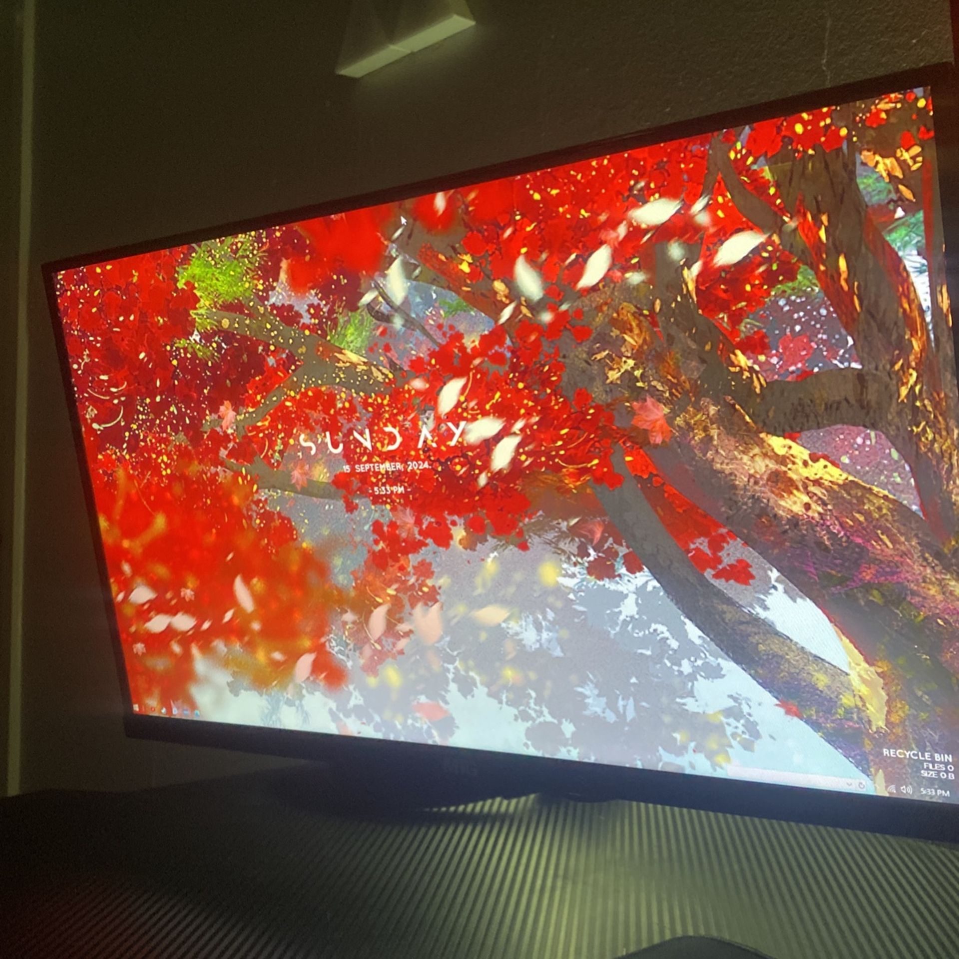 Gaming Monitor For SALL
