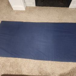 Free Twin Size Futon Mattress 