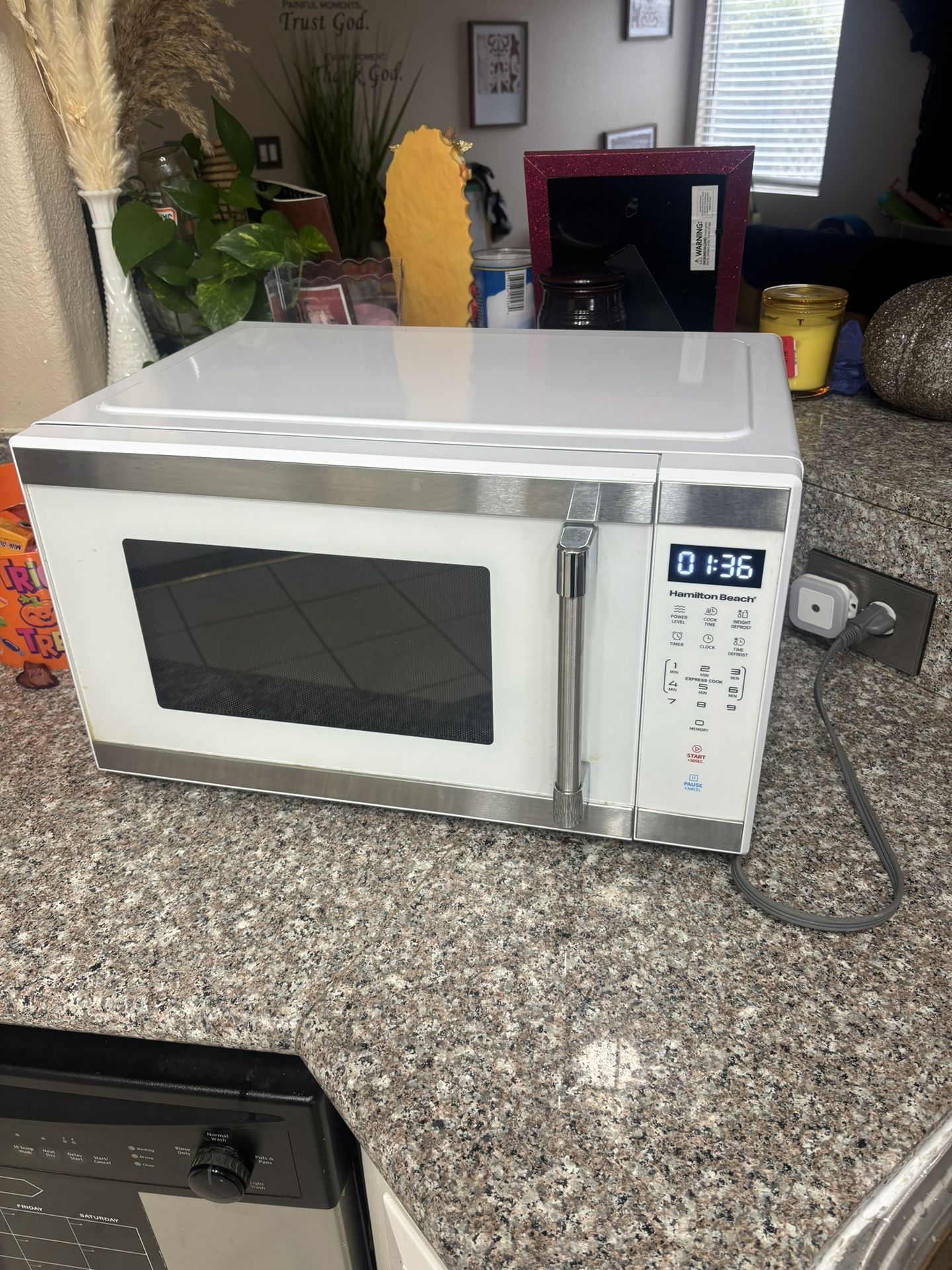 Microwave 1000 Watt
