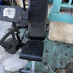 Bench Workout