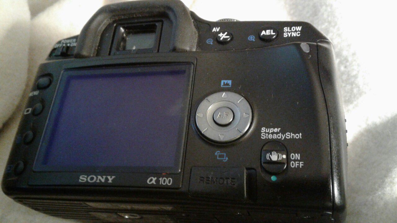 Sony digital camera A100