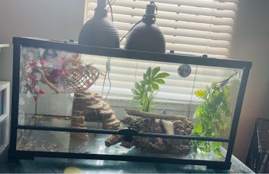 40Gal Tank