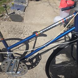 Prestige Speed Bike