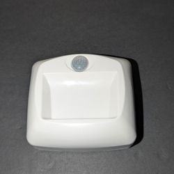  Indoor/Outdoor Motion Sensing LED