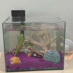 Fish Tank