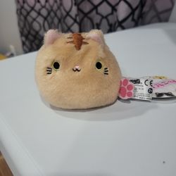 Small Cat Plushie 