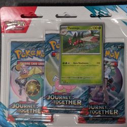 Journey Together 3 pack blister 