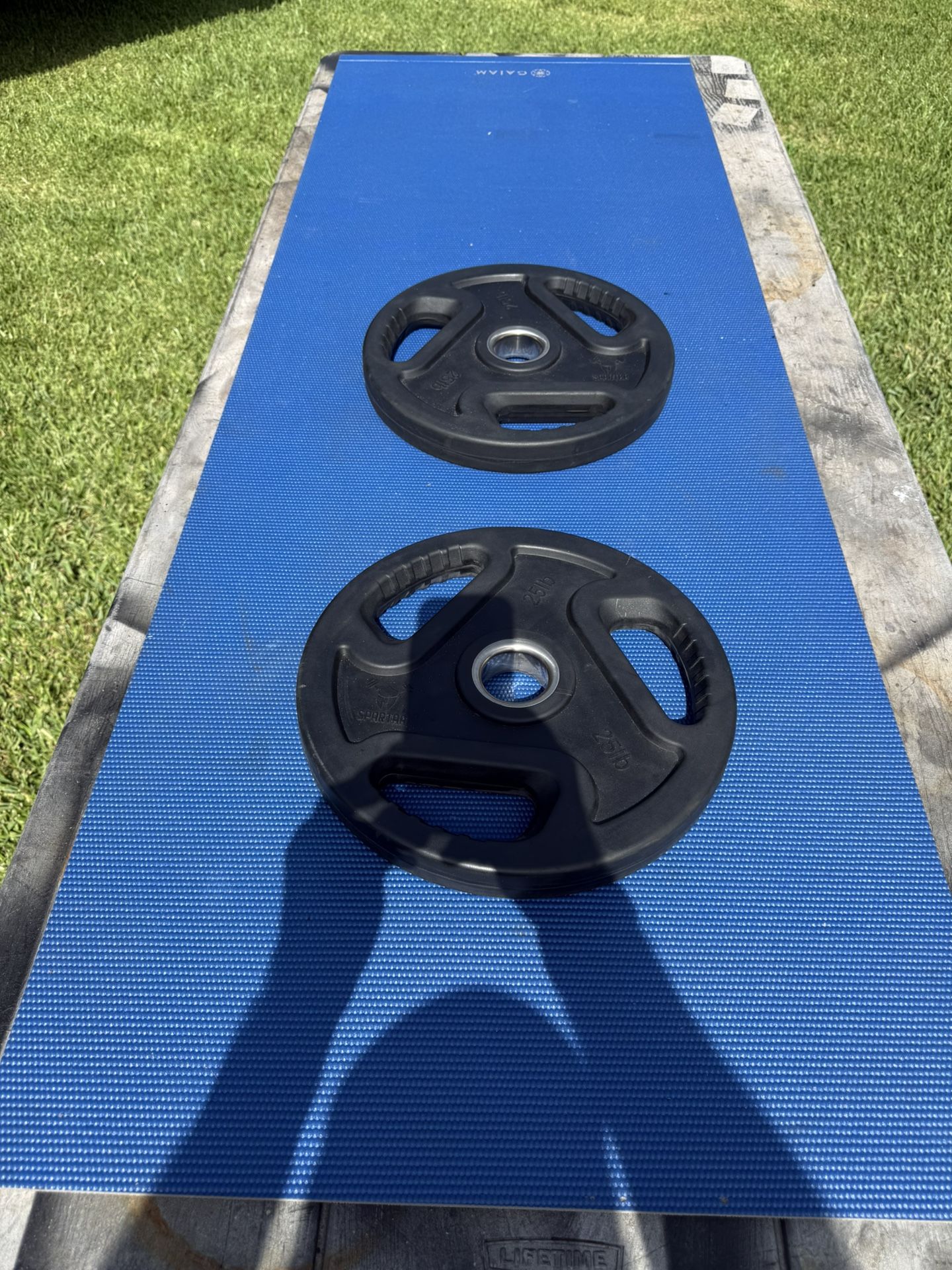 Pair Of Rubberized Olympic Weights By Spartaa