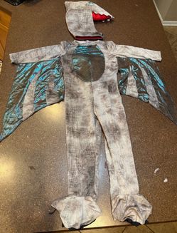5-6T Toddler Pterodactyl Costume