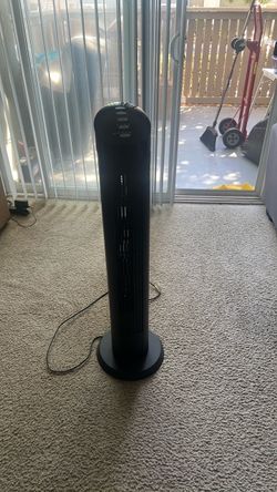Fan