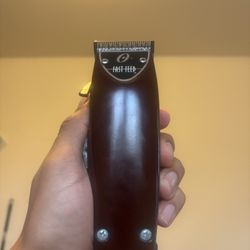 Oster Fast Feed Clipper