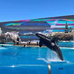 5 SeaWorld San Diego Tickets 