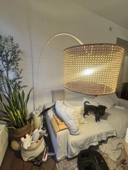Arch Floor Lamp