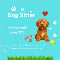 Dog Sitter