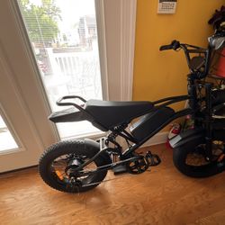 ebike