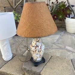 Seashell lamp