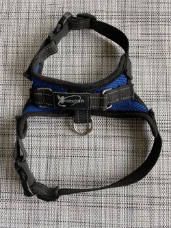 Adjustable Dog Harness, Xs