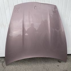 2020 2021 2022 2023 2024 Porsche Taycan Hood OEM