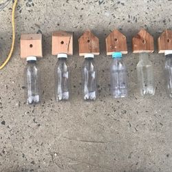 Carpenter Bee Trap