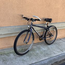 Diamondback Topanga 1995 Bicycle 