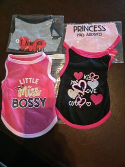 cat or dog dresses