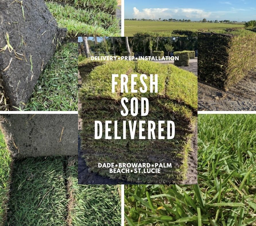 Fresh Sod