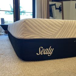 Sealy Queen Size Memory Foam Mattress