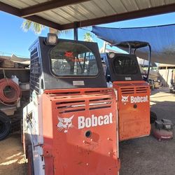 Bobcat