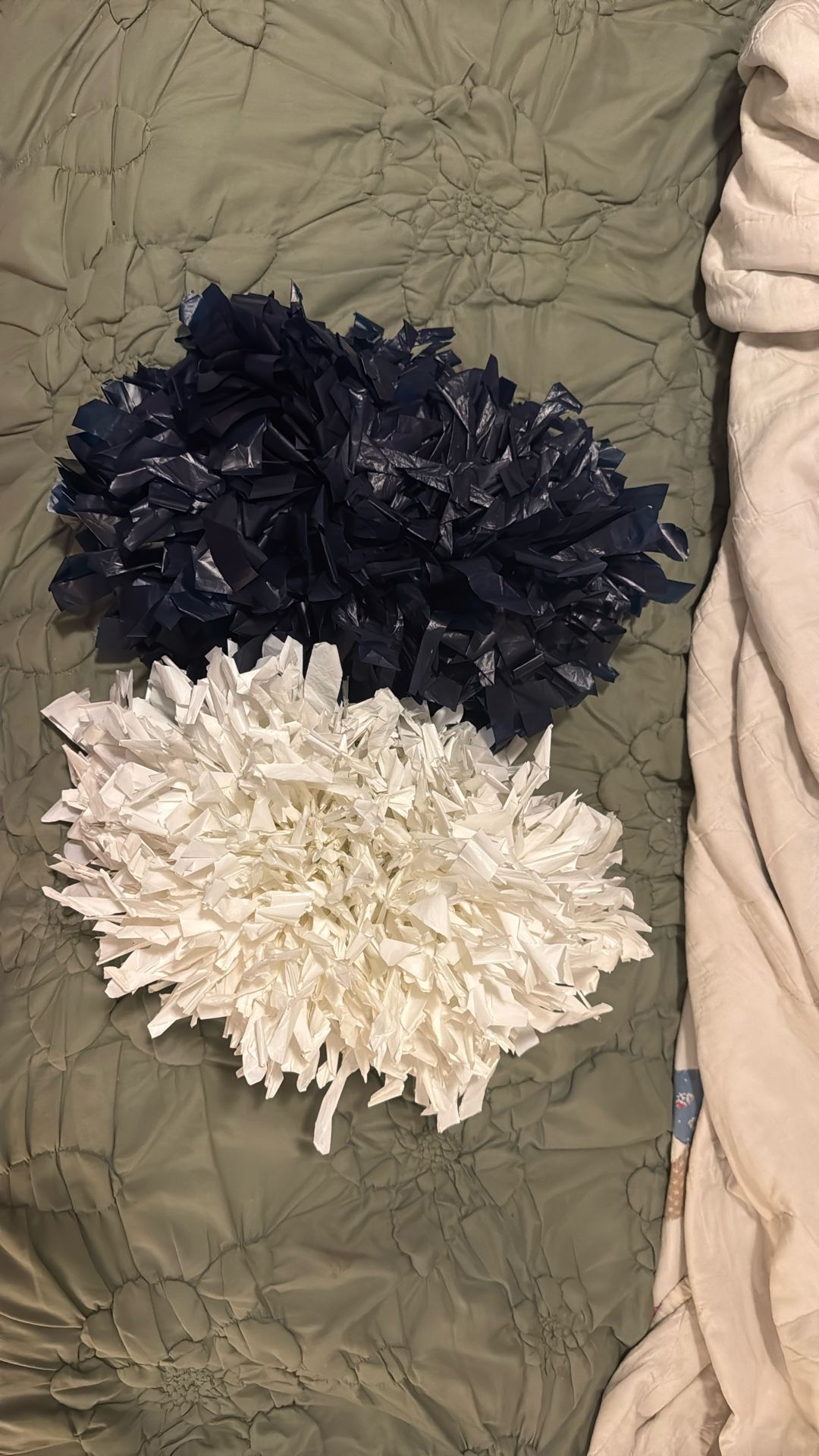 Free Poms