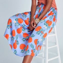 Anthropologie Skirt M