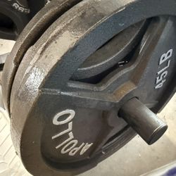 Olympic Sized Weight Plates 