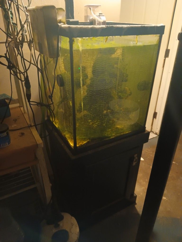 Fish Tank