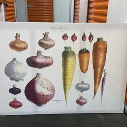 Picture Frame Canvas 