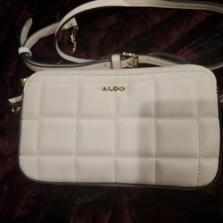 Aldo Small Purse SHASHEL