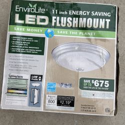 LED House Light 11 Inch