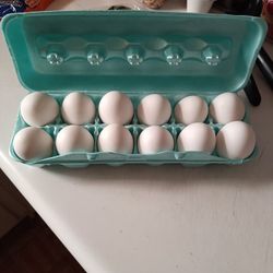 Eggs