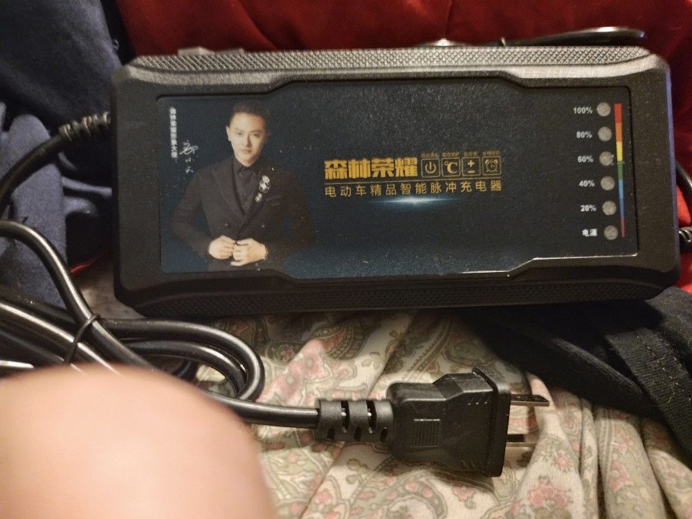 Senlin Rongyao Electric Vehicle Smart Pulse Charger