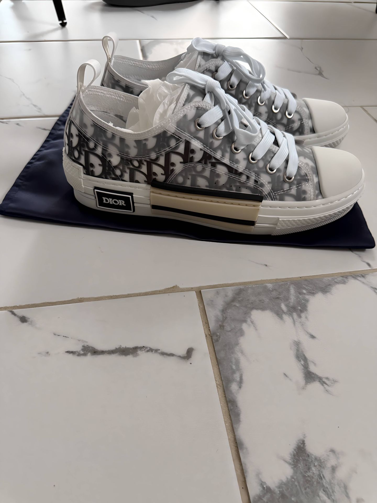 DIOR B23