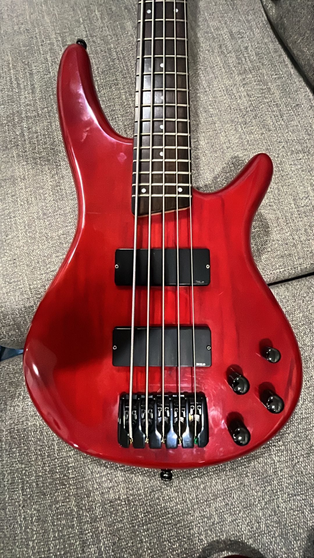5 String Ibanez