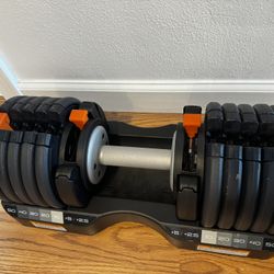 NordicTrack 55 lb. Select-a-Weight Adjustable Dumbbells