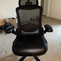 Ergonomic Office Chair 