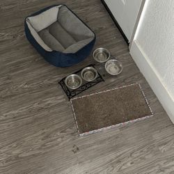 Cat Supplies 